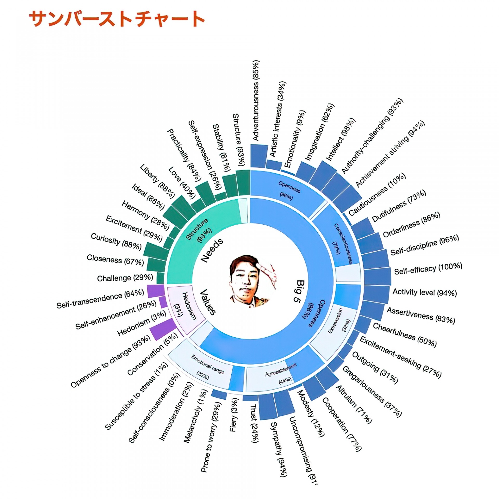 サンバーストチャート