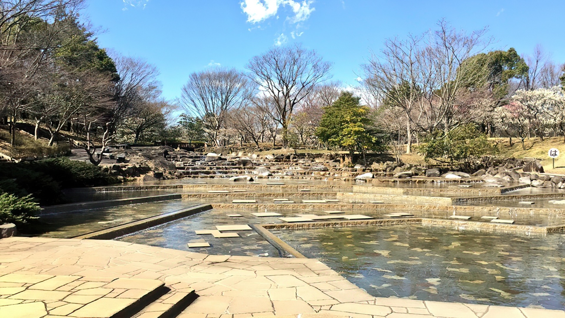 水あそびの池