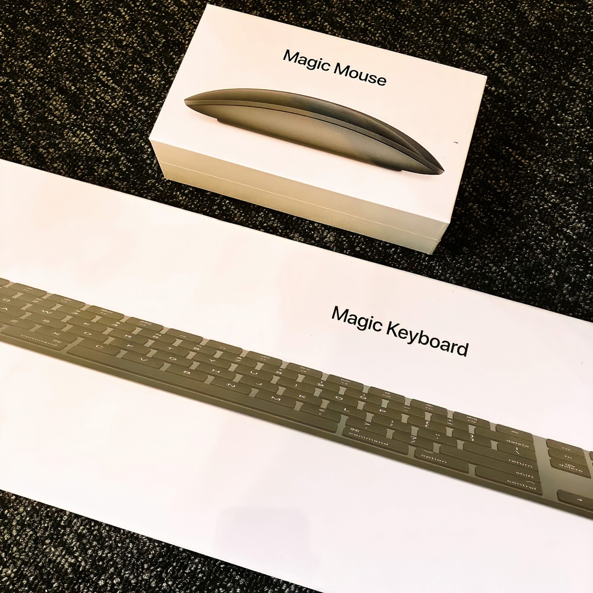 戦利品のMagic MouseとMagic Keyboard