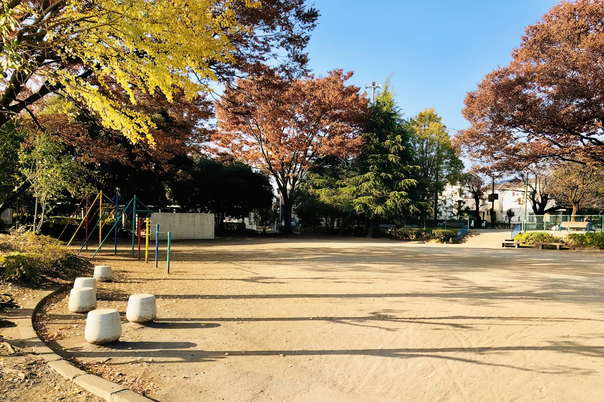 秋の公園